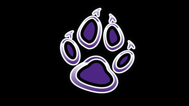 Welcome to Fairbanks #1 Hit Music Station Online! K-WOLF 98-1!